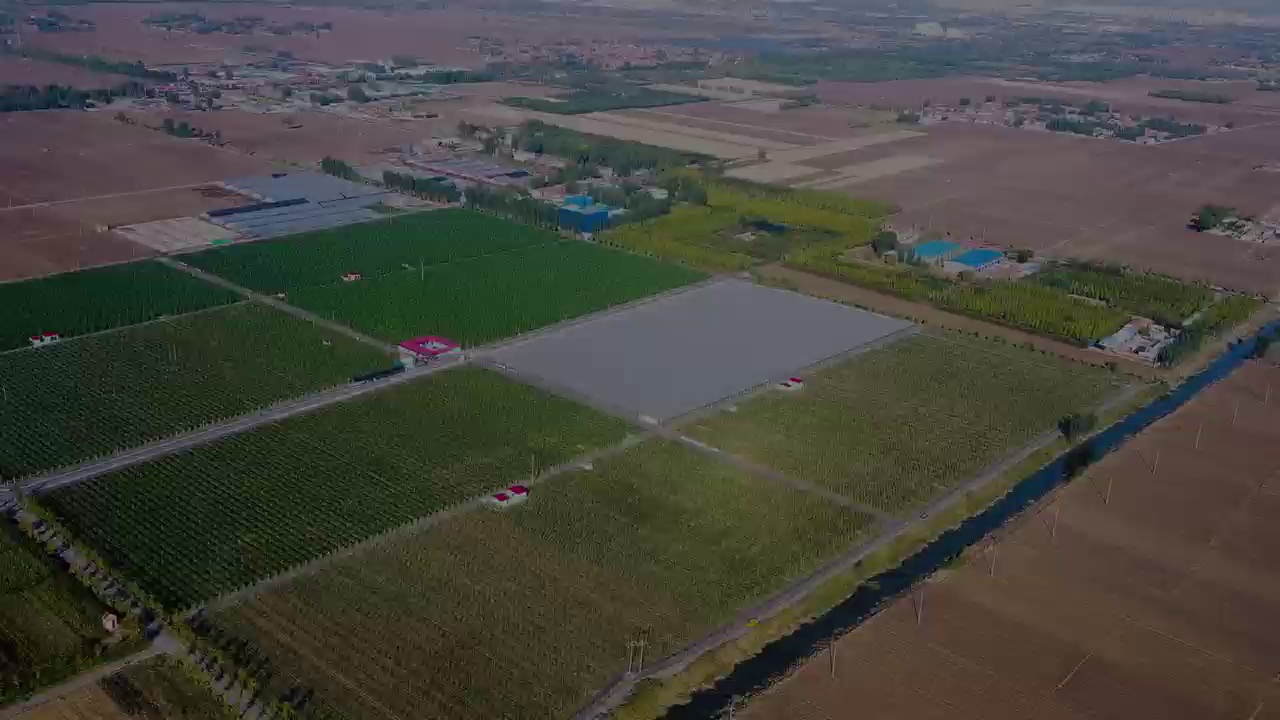 新春走基层·黄土地上的“大食物”｜一只羊的科技含量