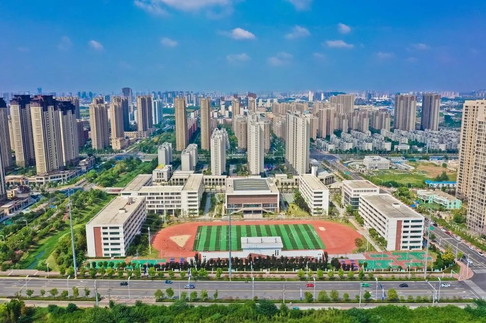 解码广东经济“含新量”：科技与产业如何互促双强？丨广东向“新”力②