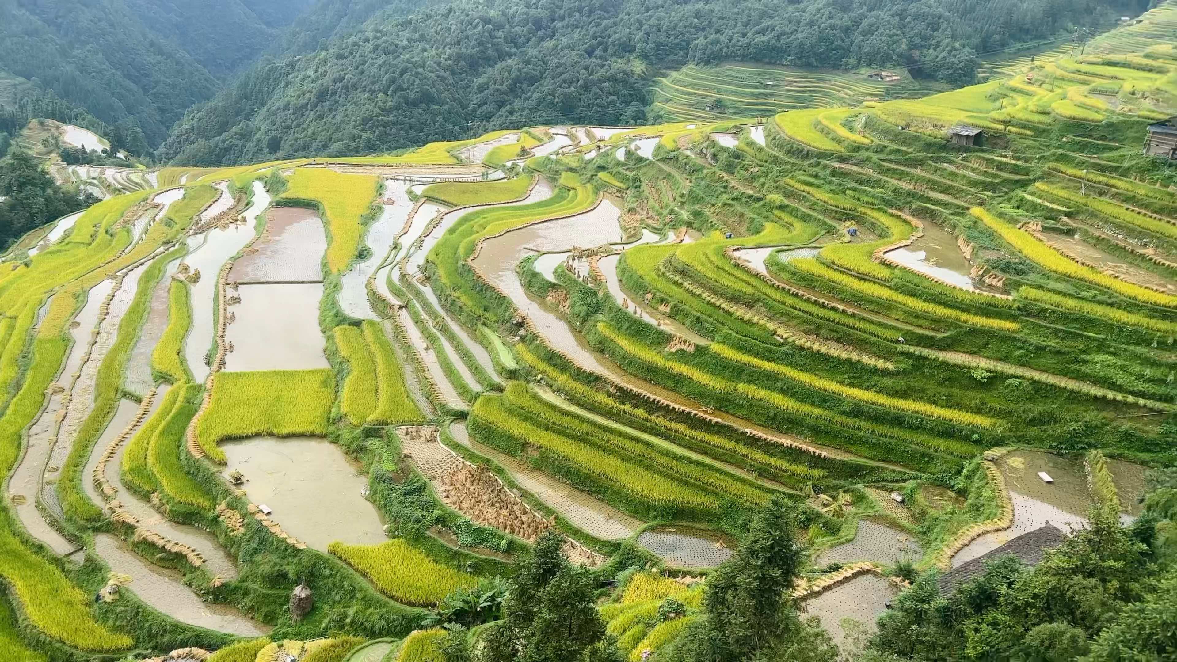 云南大山里，有一群孩子在写诗