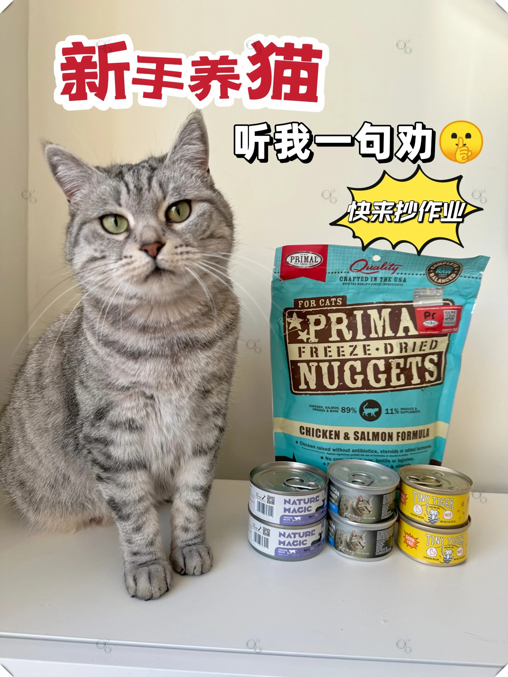 资本市场永远会给你好东西 | 猫猫看市