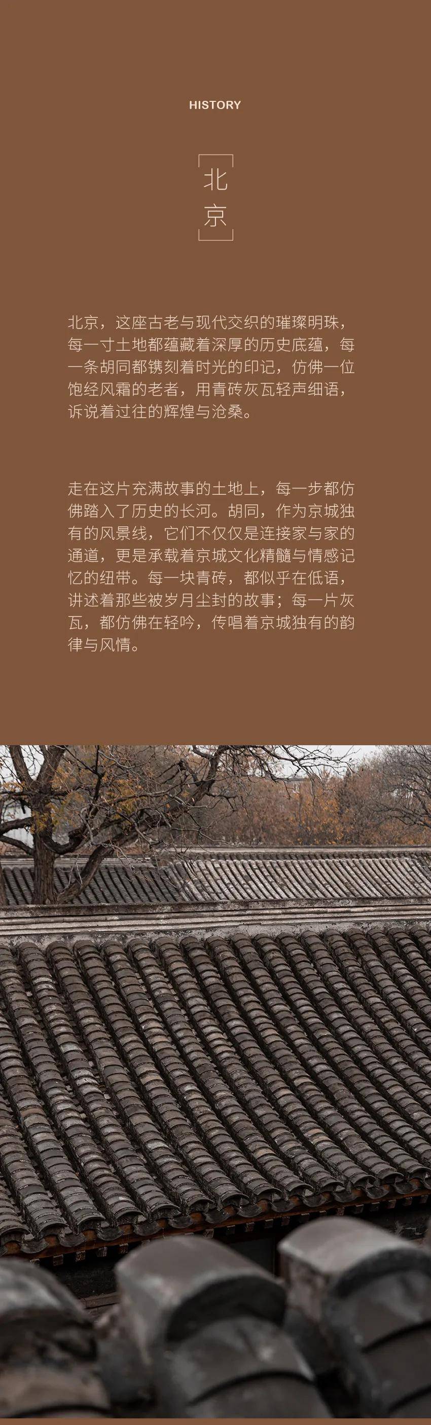 山月窥檐，溪风掠坐：共赴一场园林故梦｜观展