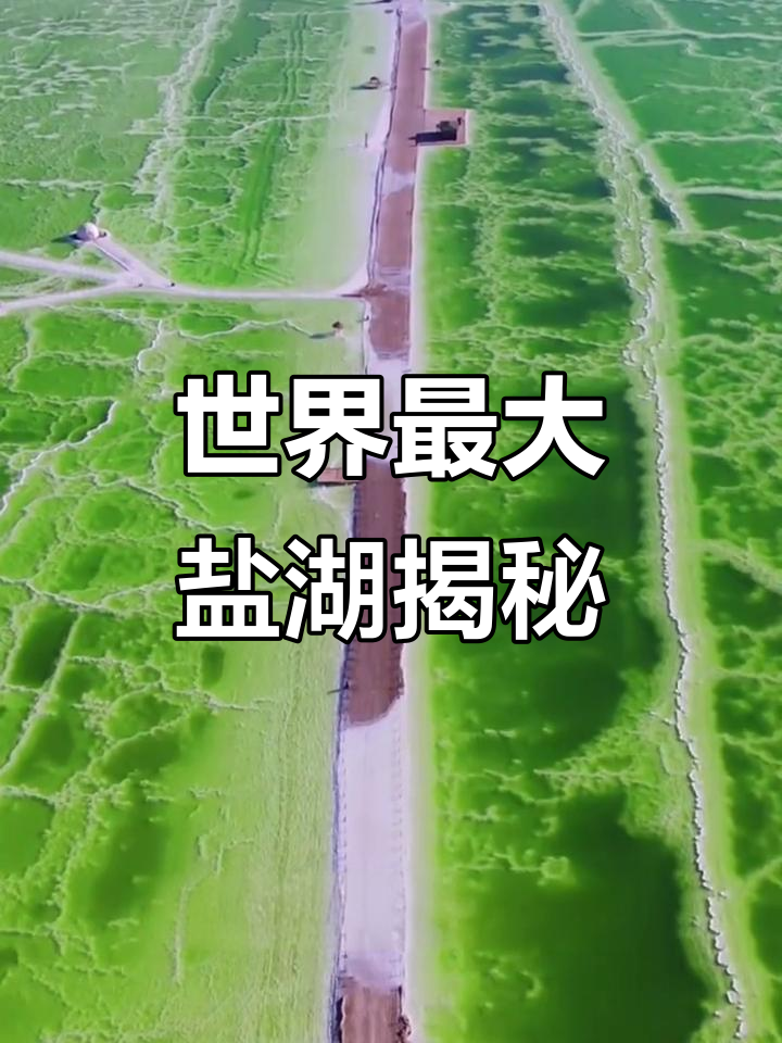 首发技术打破国际垄断！西部矿业助力建设世界级盐湖基地