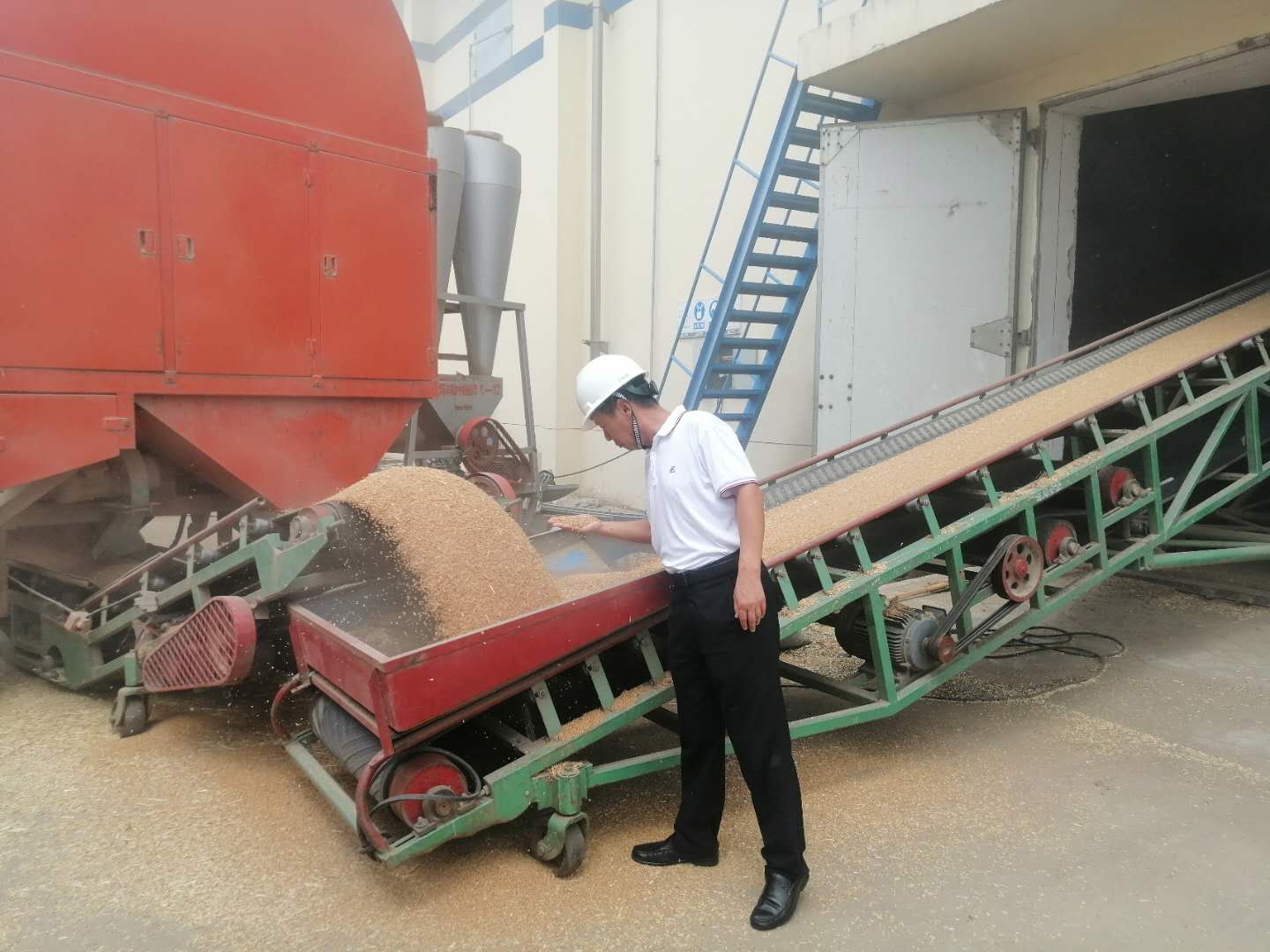 从政策筑基到产业突围，“齐鲁粮油”成全国粮油品牌建设标杆